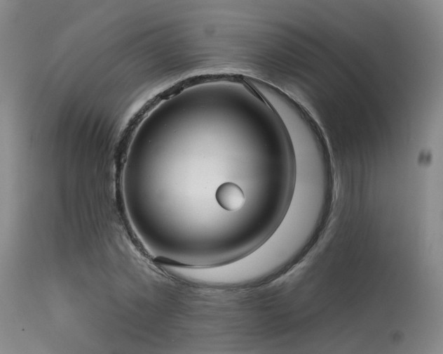 X0000113610781200909251141