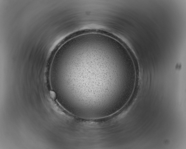 X0000113610783200909251141