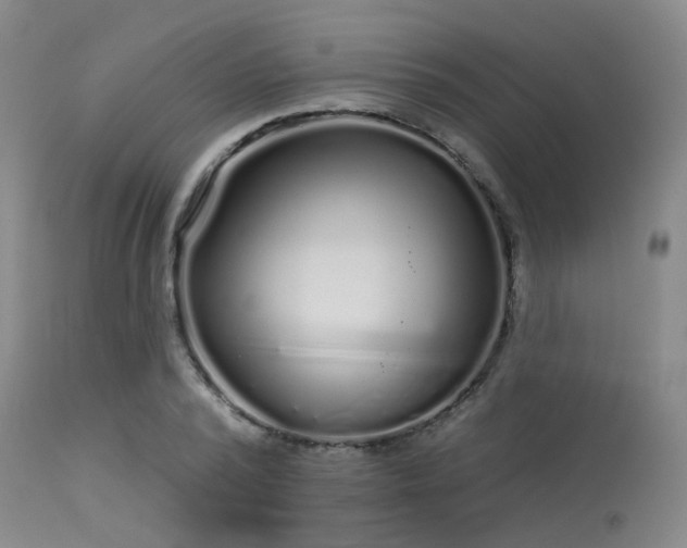 X0000113610784200909251141