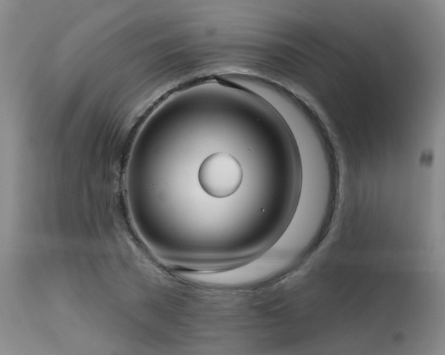 X0000113610785200909251141