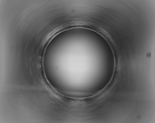 X0000113610786200909251141