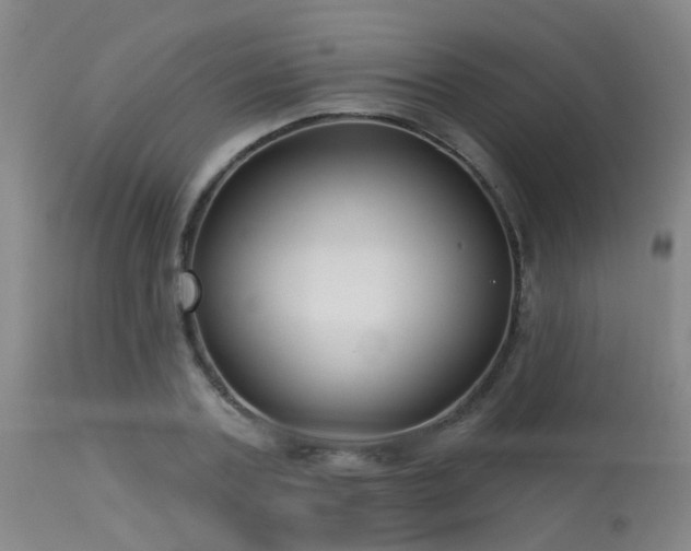 X0000113610787200909251141