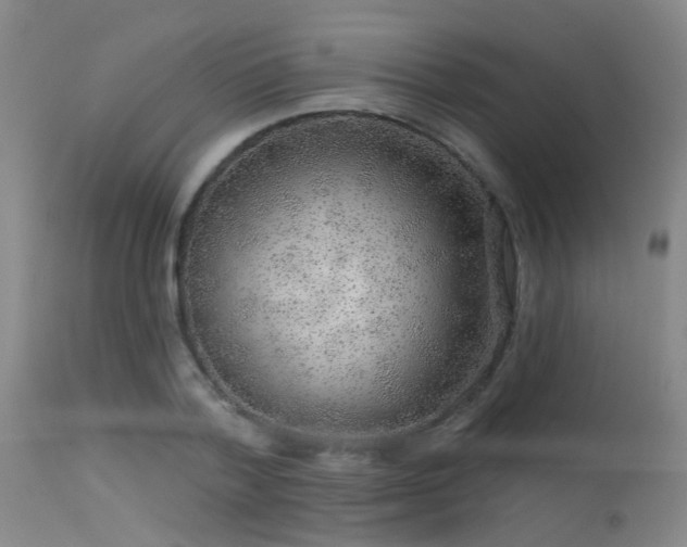 X0000113610788200909251141