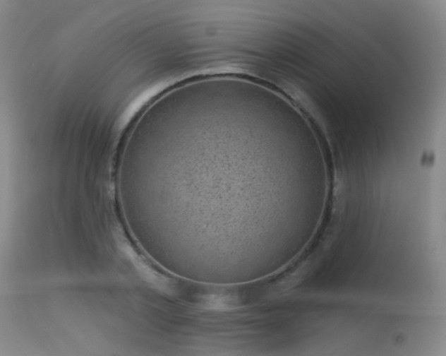 X0000113610789200909251141