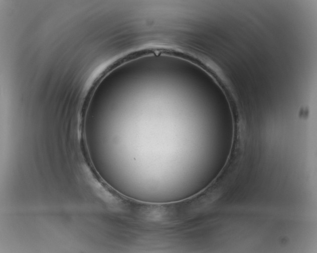 X0000113610791200909251141