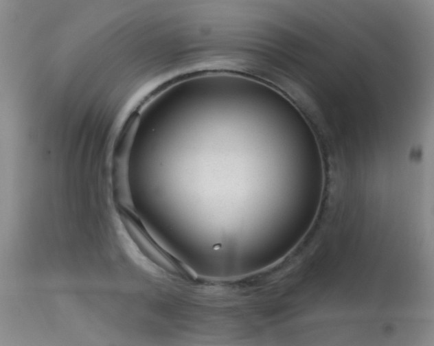 X0000113610792200909251141