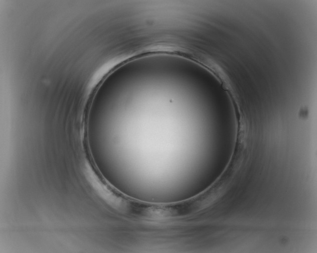 X0000113610795200909251141