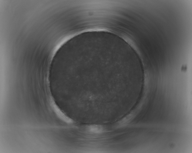 X0000113610797200909251141