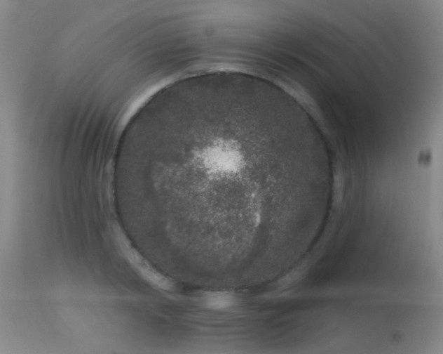 X0000113610798200909251141