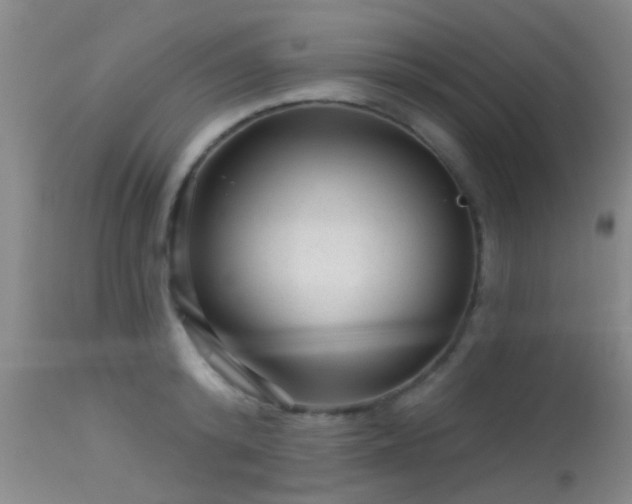 X0000113610800200909251141