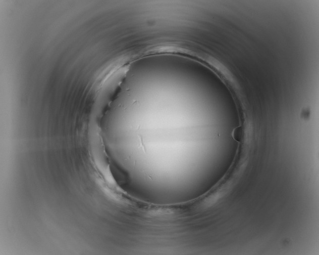 X0000113610801200909251141