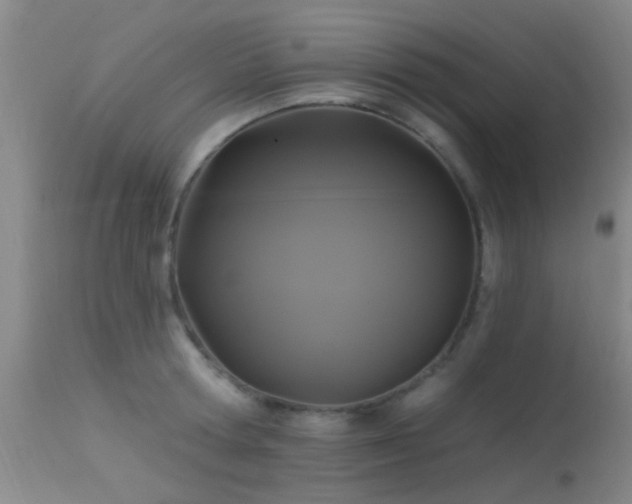 X0000113610802200909251141