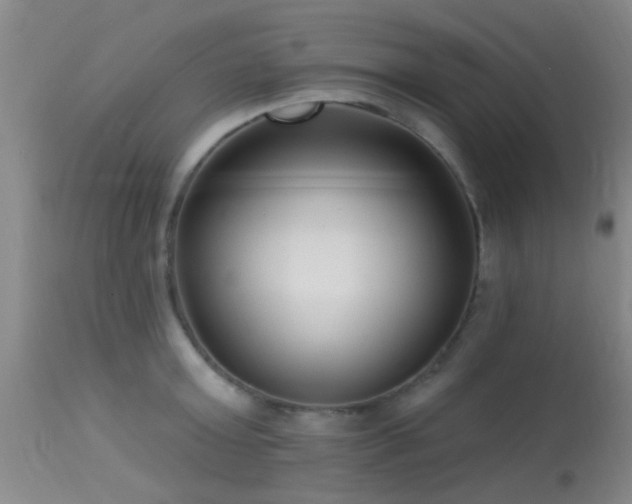 X0000113610803200909251141