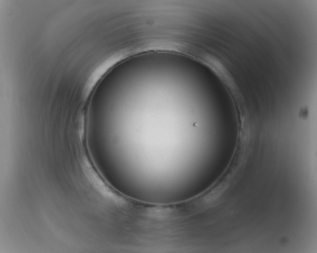 X0000113610804200909251140