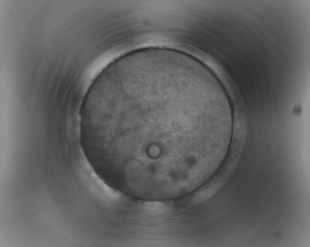 X0000113610807200909251140