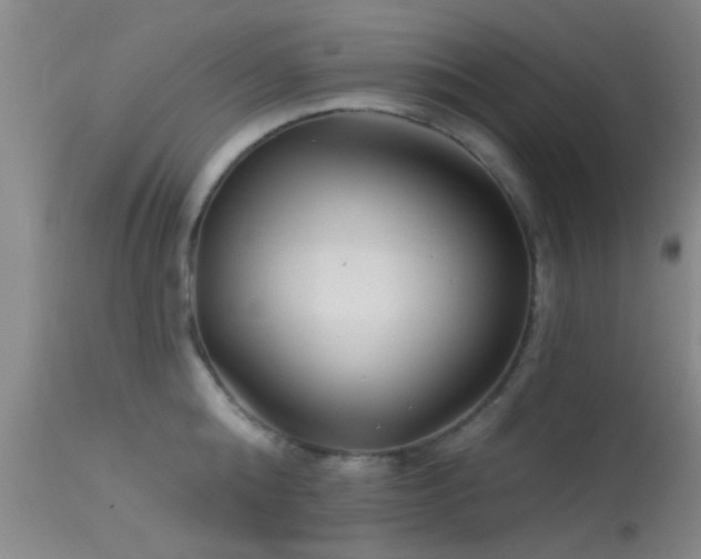 X0000113610808200909251140