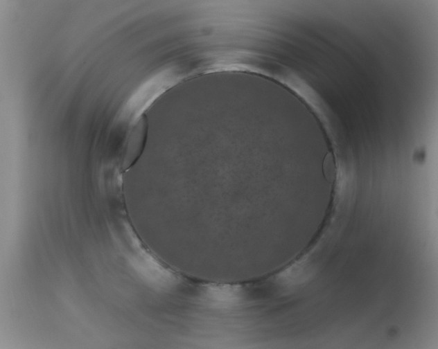 X0000113610809200909251140