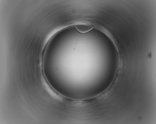 X0000113610811200909251140