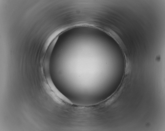 X0000113610812200909251140