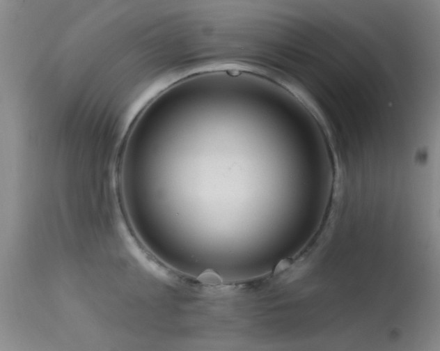 X0000113610813200909251140