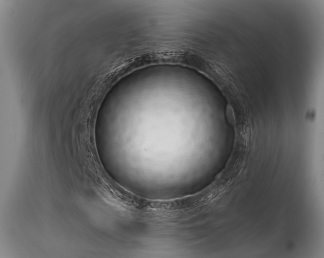 X0000113610817200909251140