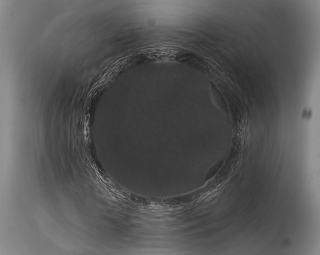 X0000113610818200909251140