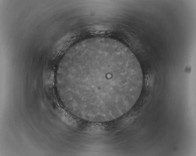 X0000113610820200909251140