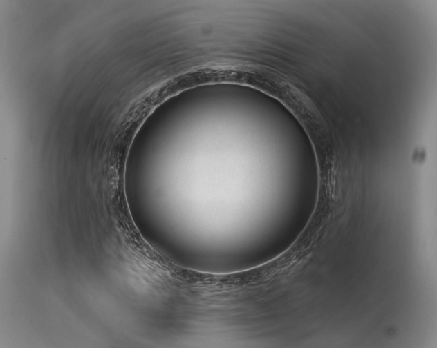 X0000113610821200909251140