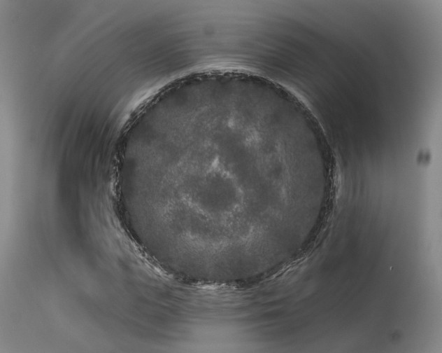 X0000113610823200909251140