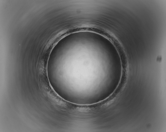 X0000113610825200909251140