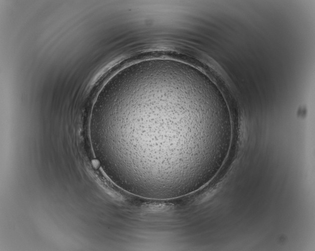 X0000113610826200909251140