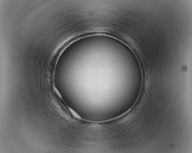 X0000113610827200909251140