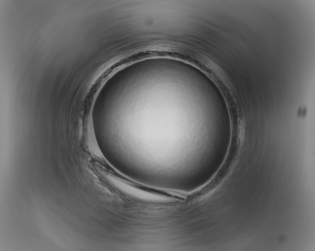 X0000113610829200909251140