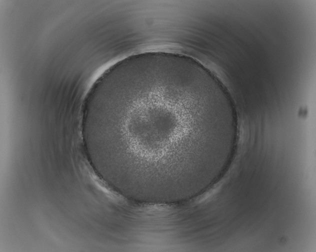 X0000113610830200909251140