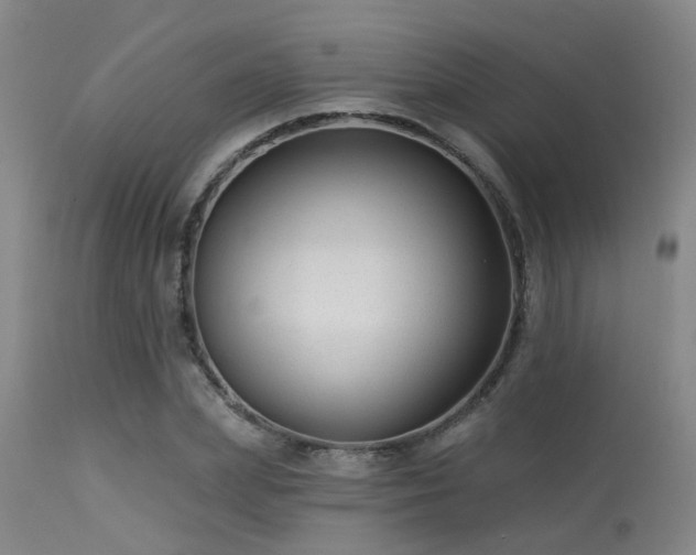 X0000113610831200909251140