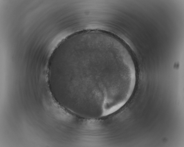 X0000113610832200909251140