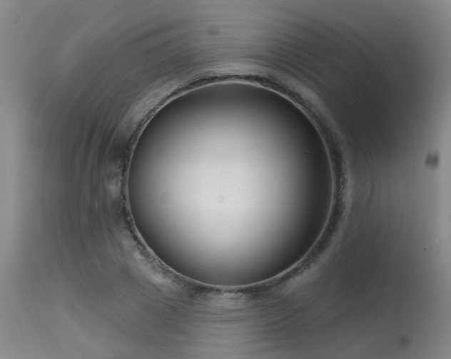 X0000113610833200909251140