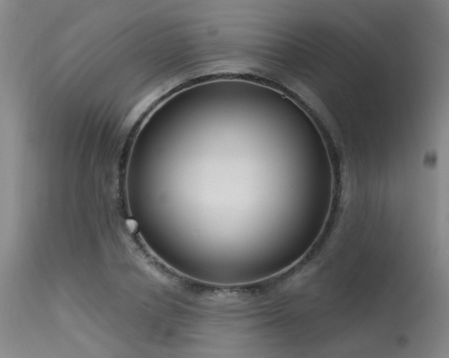 X0000113610834200909251140