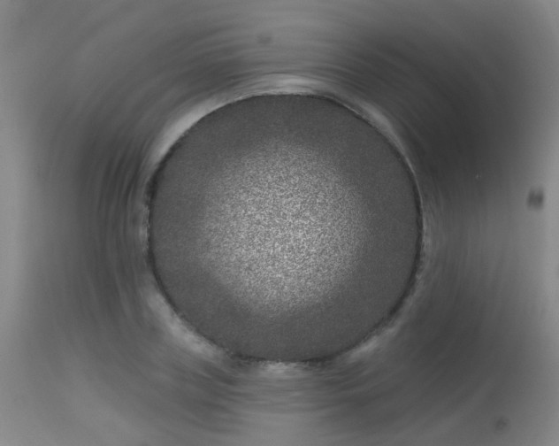 X0000113610835200909251140