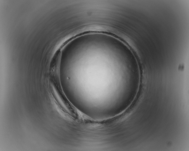 X0000113610837200909251140