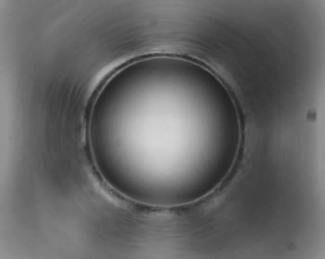 X0000113610838200909251140