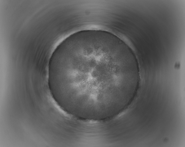 X0000113610839200909251140