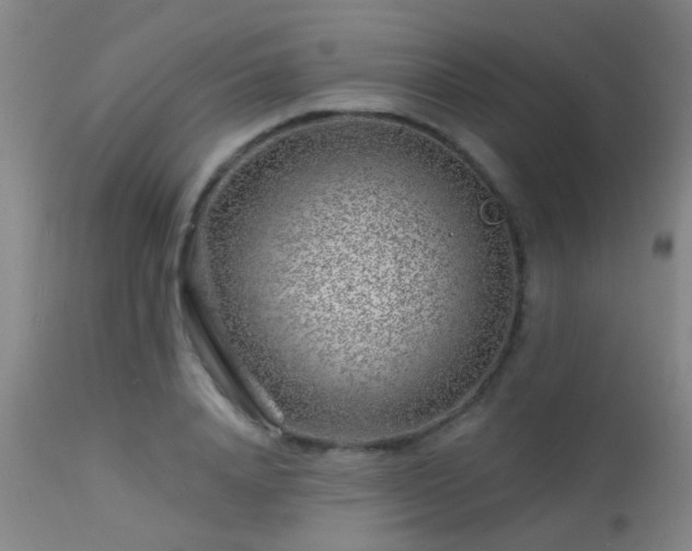 X0000113610840200909251140