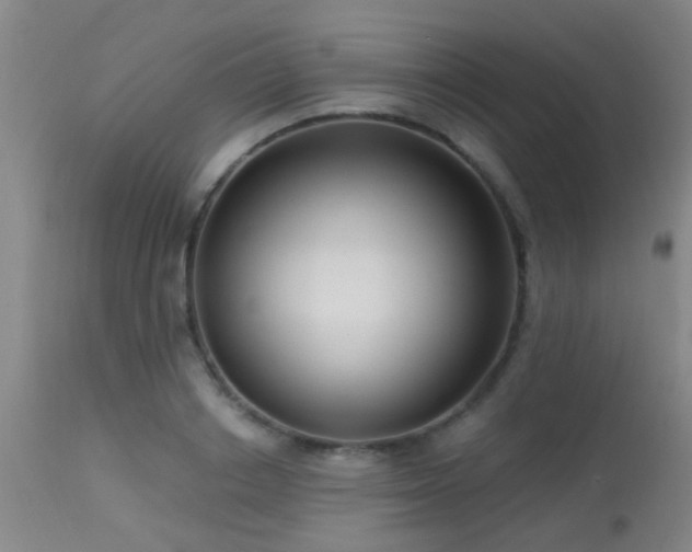 X0000113610842200909251140