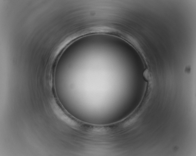 X0000113610843200909251140