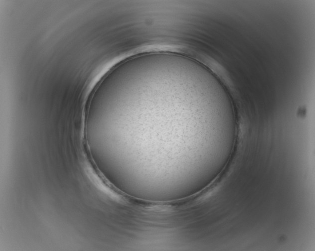 X0000113610844200909251140