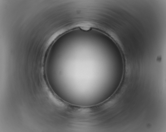 X0000113610845200909251140