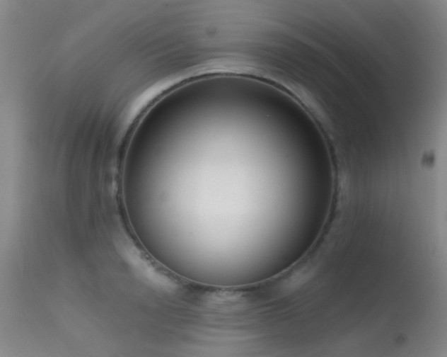 X0000113610846200909251140