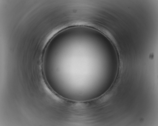 X0000113610847200909251140