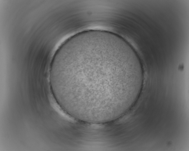 X0000113610848200909251140